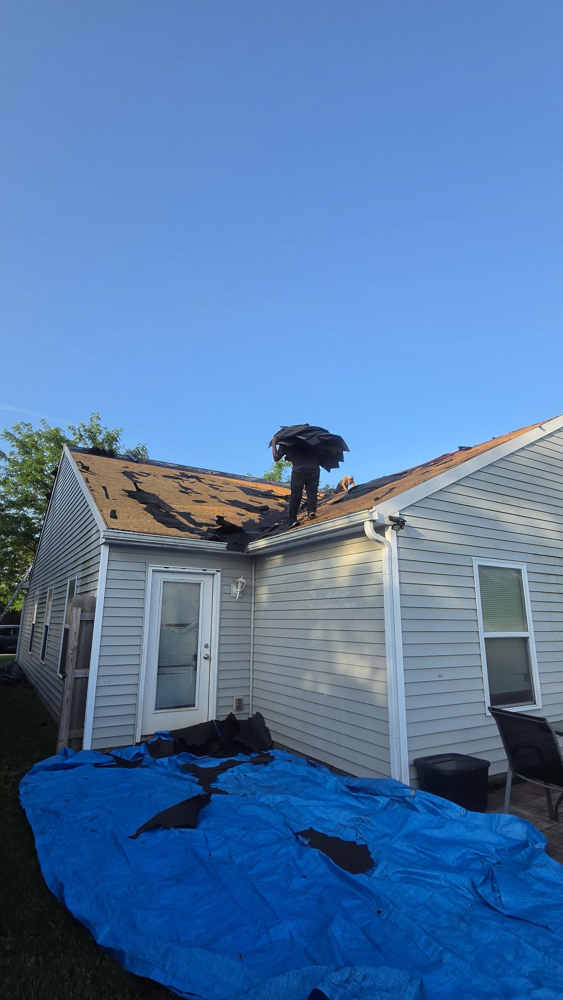 Worker carrying old shingles across the roof during tear-off
